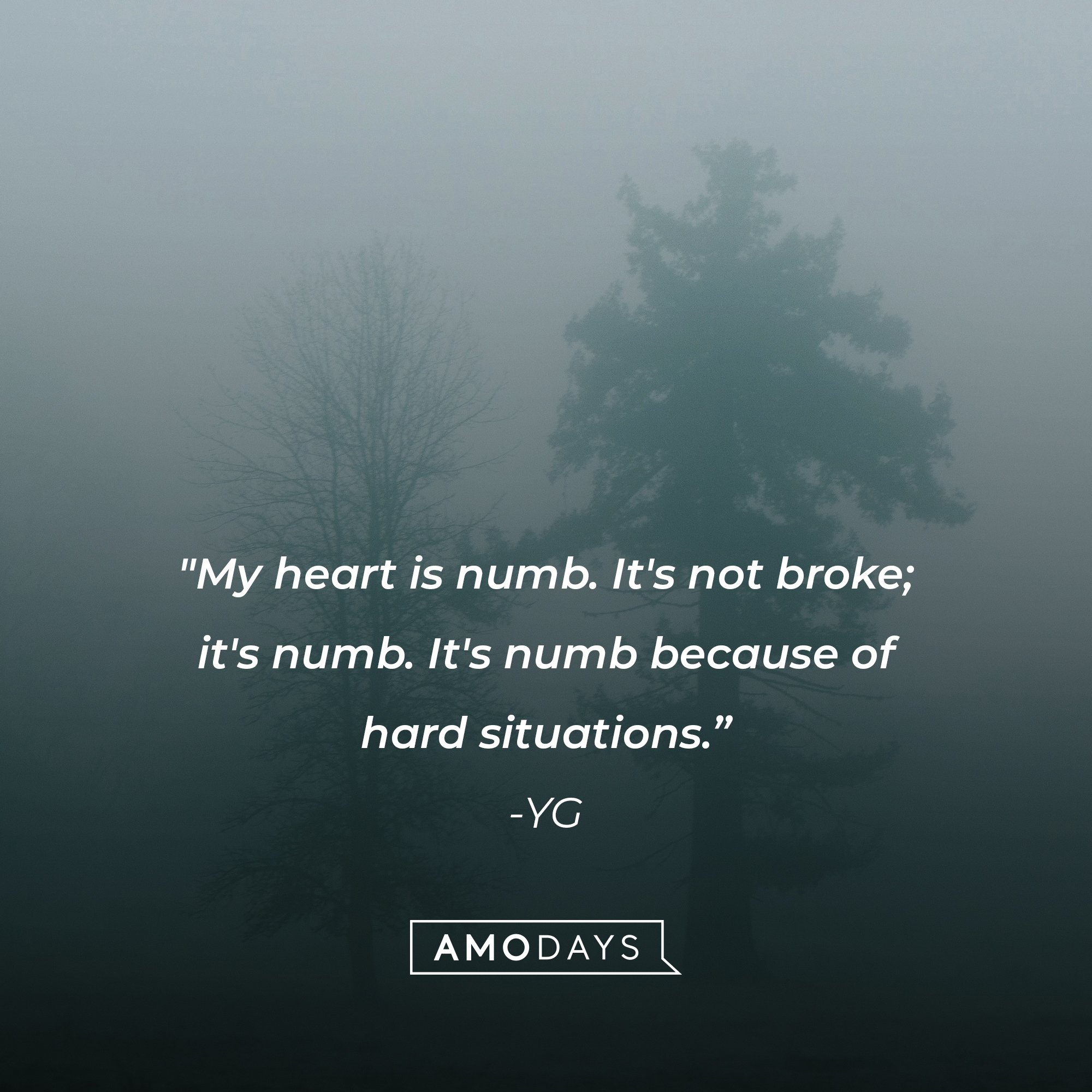  YG’s quote: "My heart is numb. It's not broke; it's numb. It's numb because of hard situations.”  | Image: AmoDays 