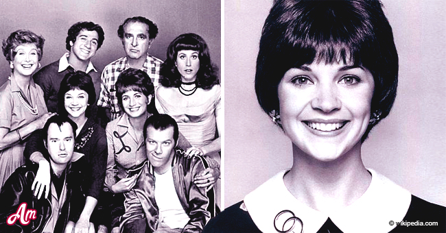 'Laverne and Shirley': Cast of the Legendary Series Then and Now