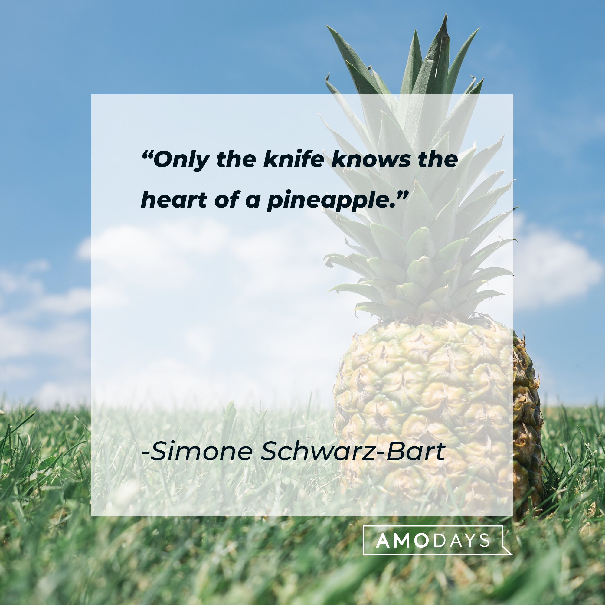 Simone Schwarz-Bart's quote: "Only the knife knows the heart of a pineapple." | Image: AmoDays