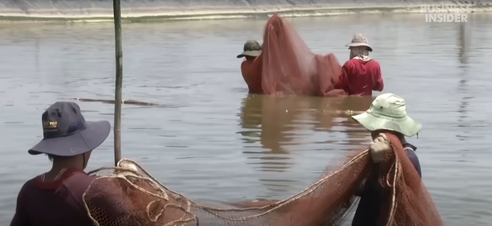 Fisherman catching shrimp in the wild. | Source: YouTube/ Business Insider