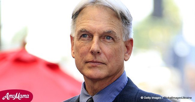The simple 'secret' of Mark Harmon and Pam Dawber's long and successful marriage (Video)