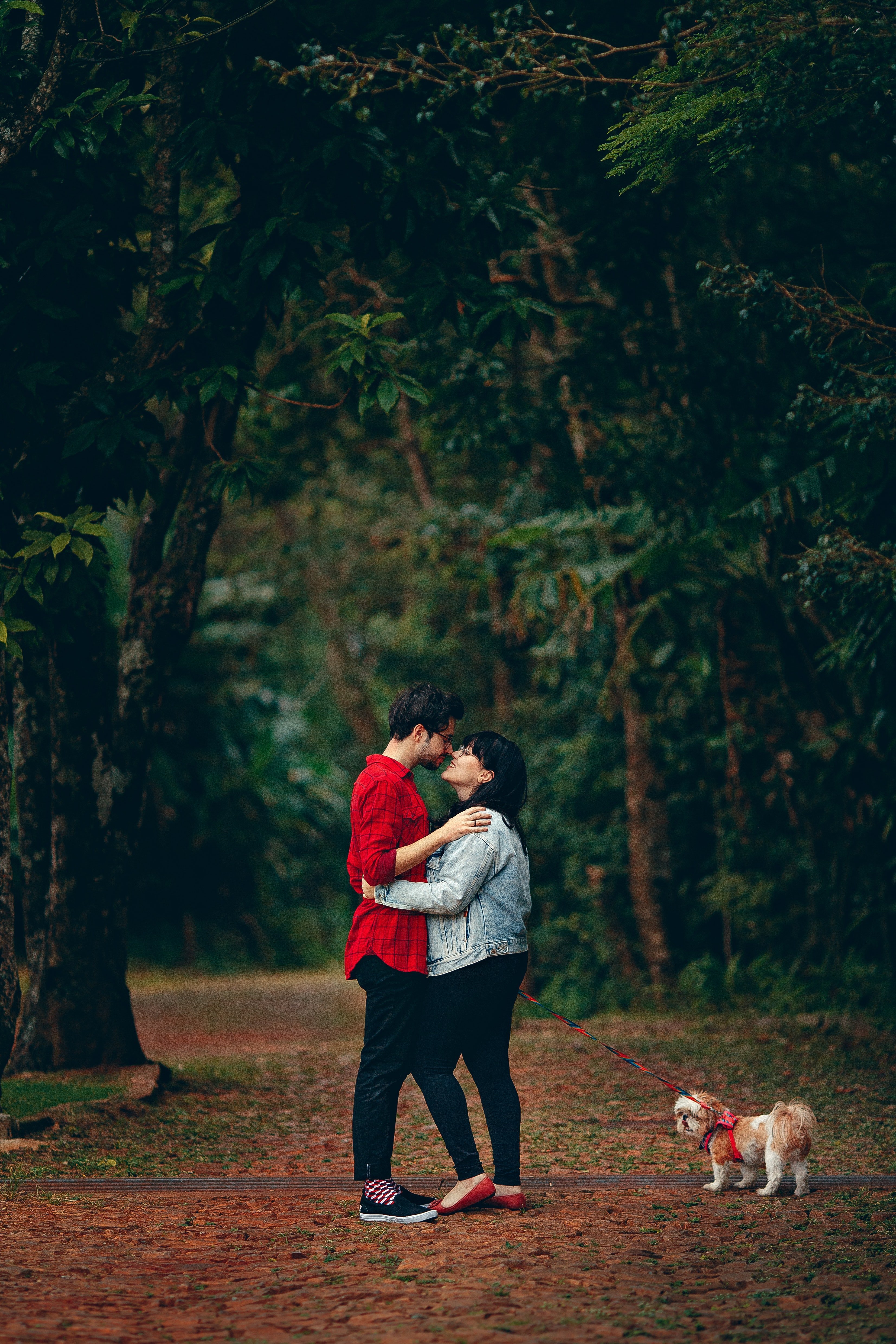 A couple talking a walk with their dog | Source: Pexels.com