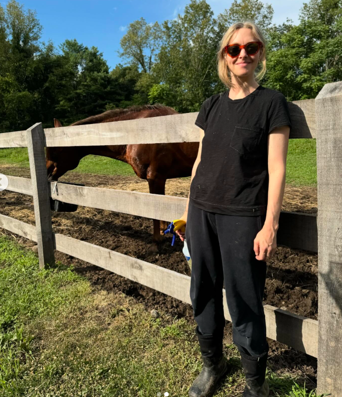 Amanda Seyfried is pictured in her farm, dated July 26, 2024 | Source: Instagram/mengey