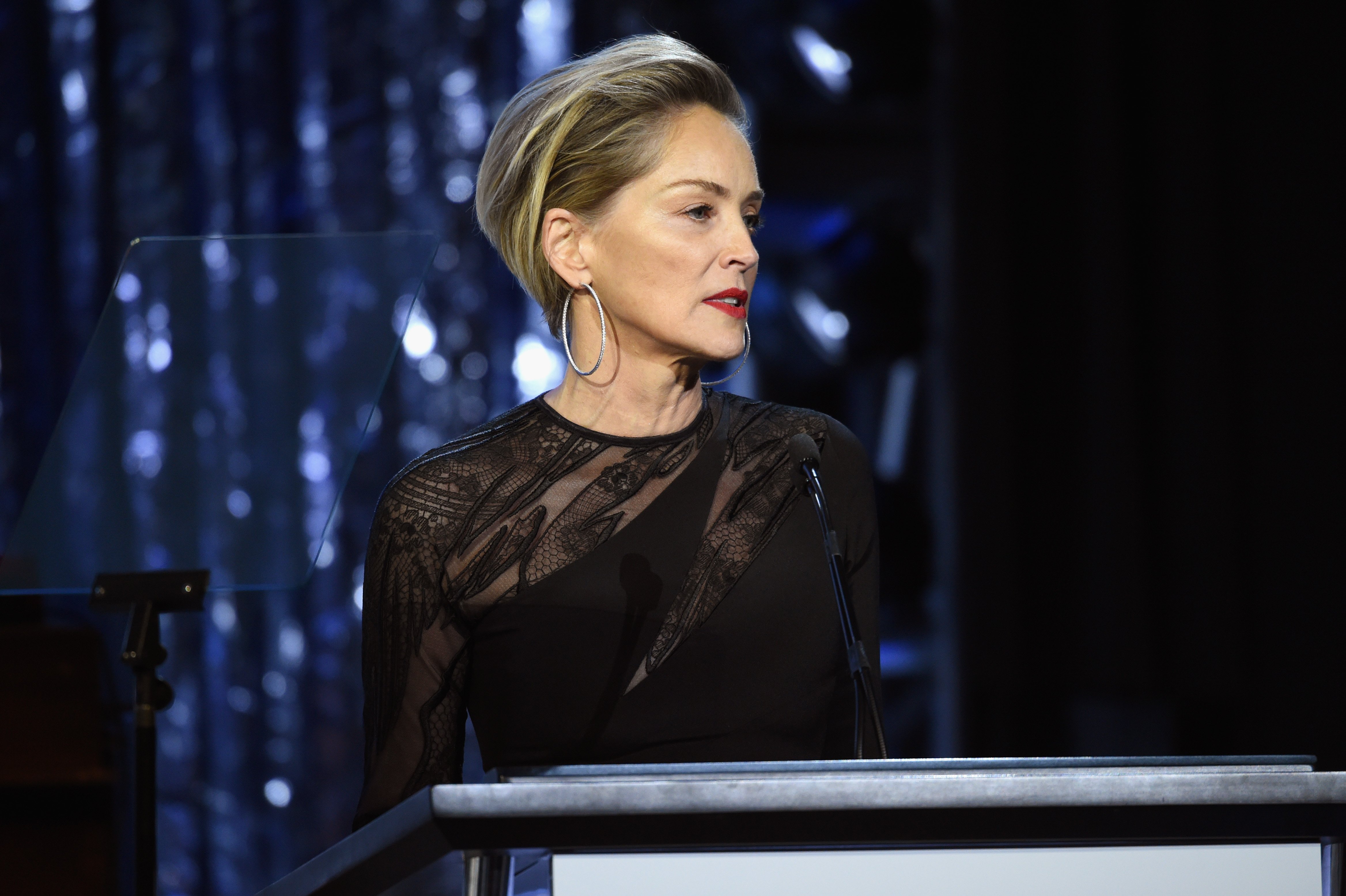 Actress Sharon Stone speaks onstage on the 25th Annual Elton John AIDS Foundation's Academy Awards Viewing Party at The City of West Hollywood Park on February 26, 2017 in West Hollywood, California | Photo: Getty Images