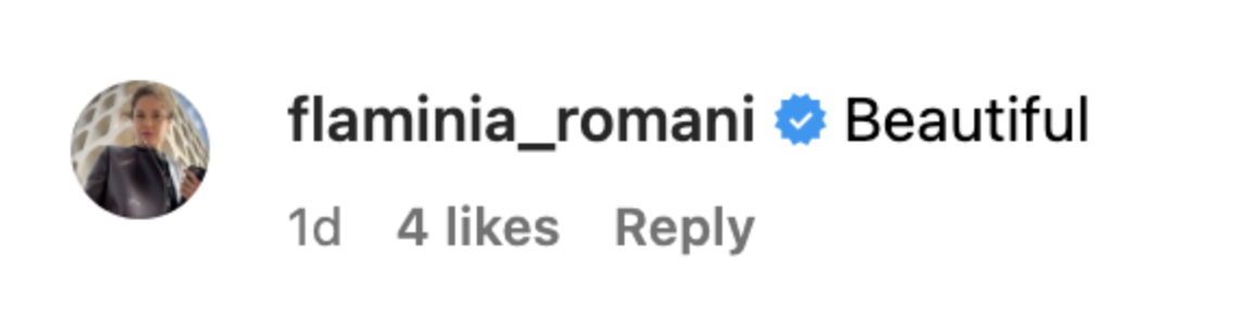Filmmaker Flaminia Romani comments on Michelle Pfeiffer's Instagram post. | Source: Instagram/@michellepfeifferofficial