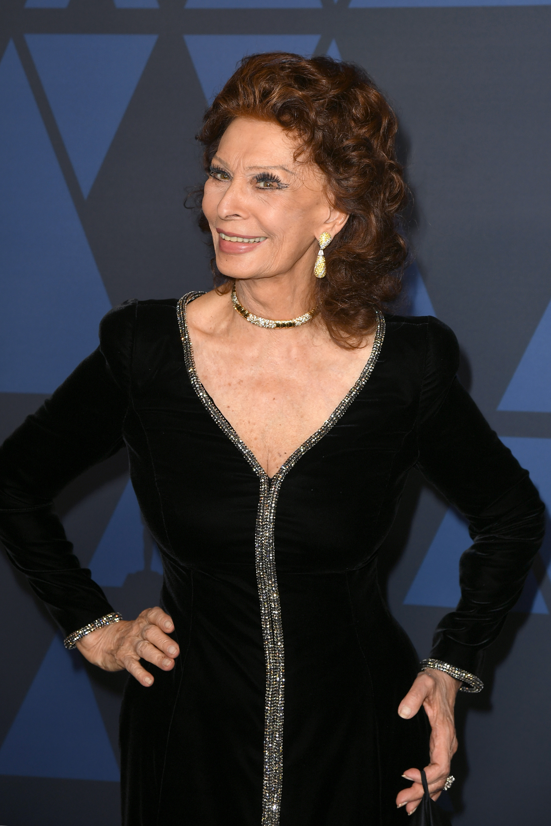 Sophia Loren attends the Academy Of Motion Picture Arts And Sciences' 11th Annual Governors Awards in Hollywood, California on October 27, 2019 | Source: Getty Images