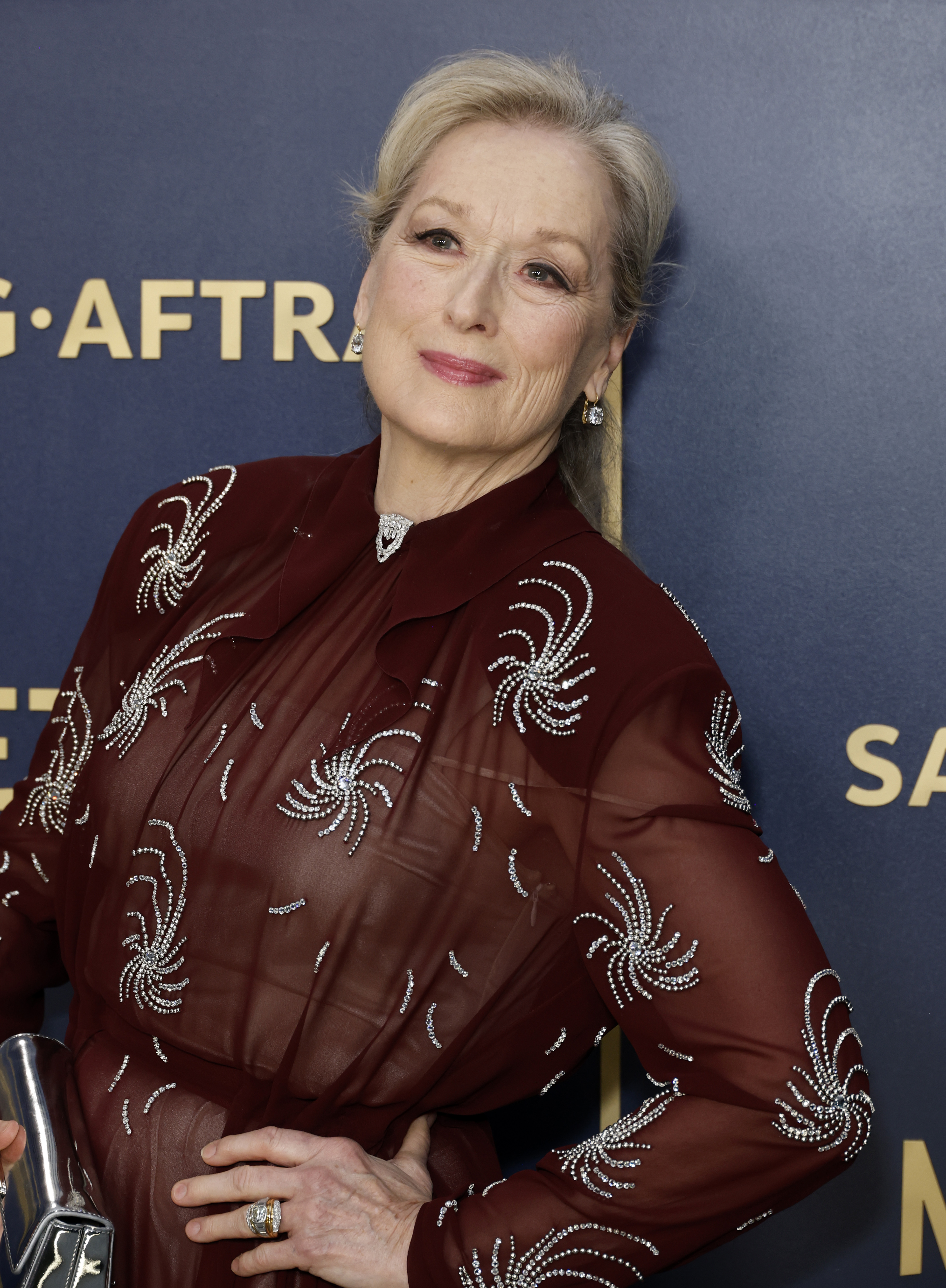 Meryl Streep attends the 30th Annual Screen Actors Guild Awards on February 24, 2024 | Source: Getty Images