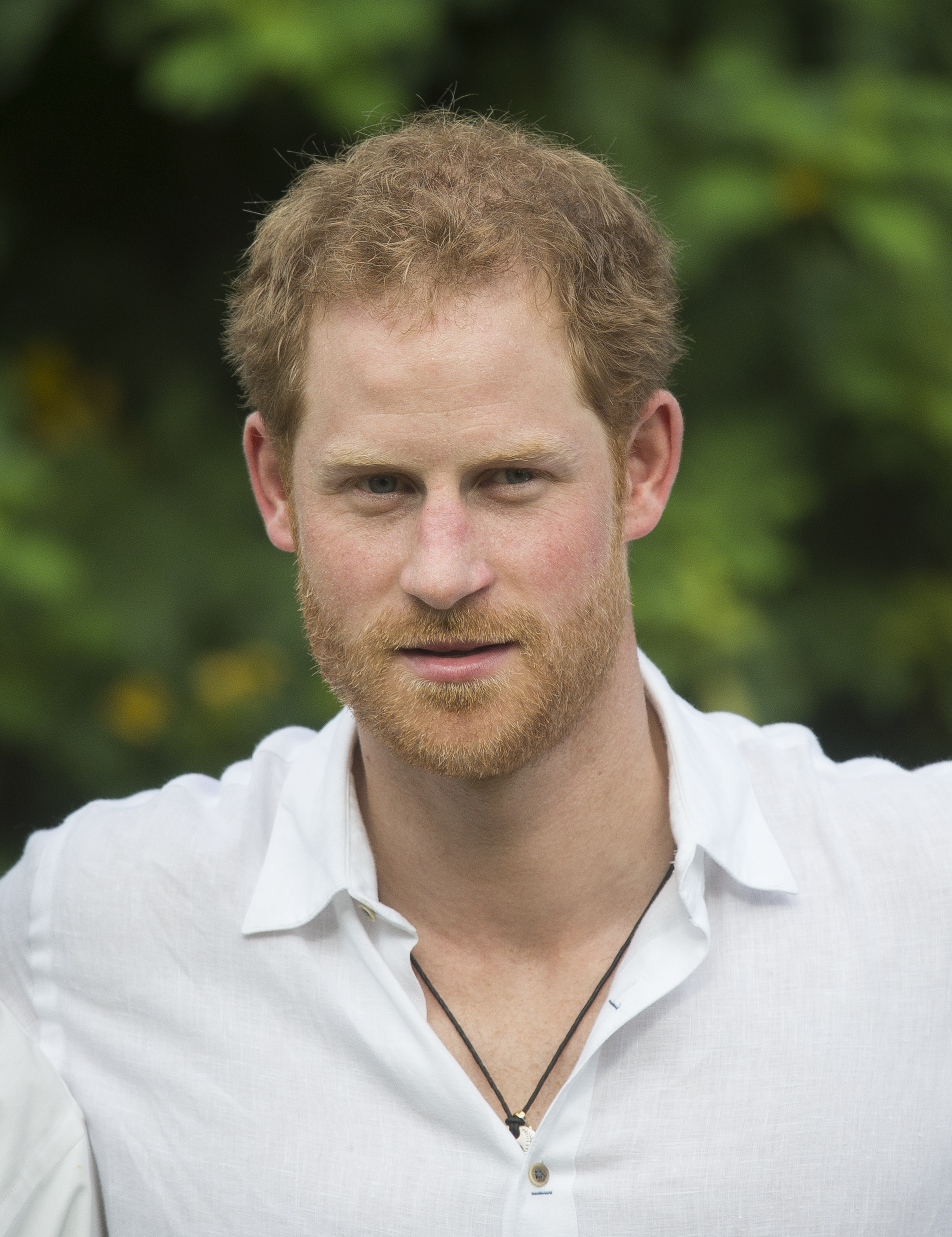 Prince Harry visits the Victoria Park Botanical Gardens on November 22, 2016, in Barbuda, Antigua and Barbuda. | Sources: Getty Images