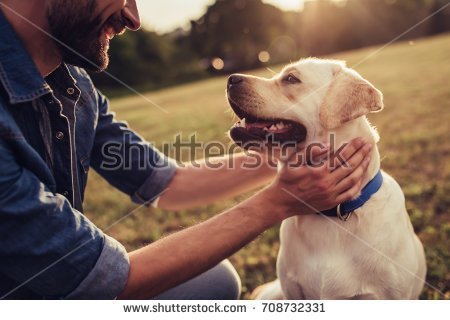 Quelle: Shutterstock