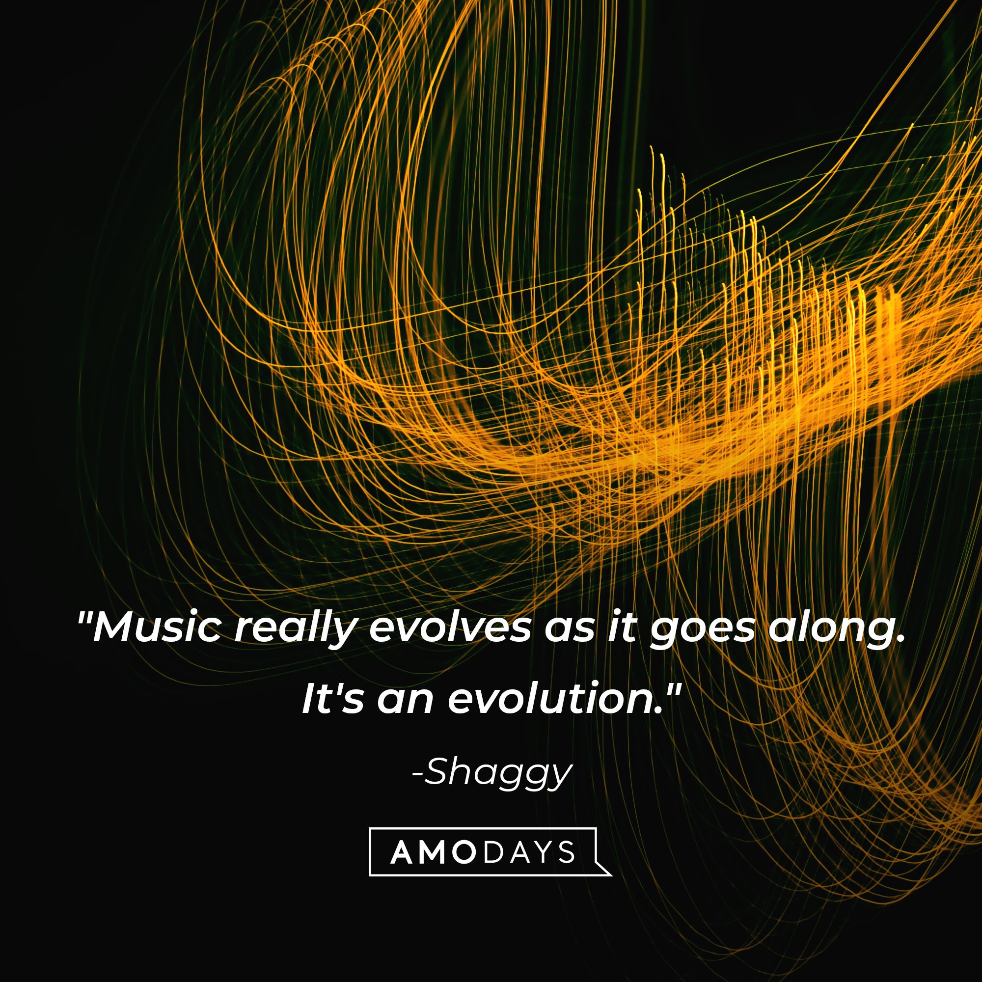 Shaggy's quote: "Music really evolves as it goes along. It's an evolution." | Image: AmoDays