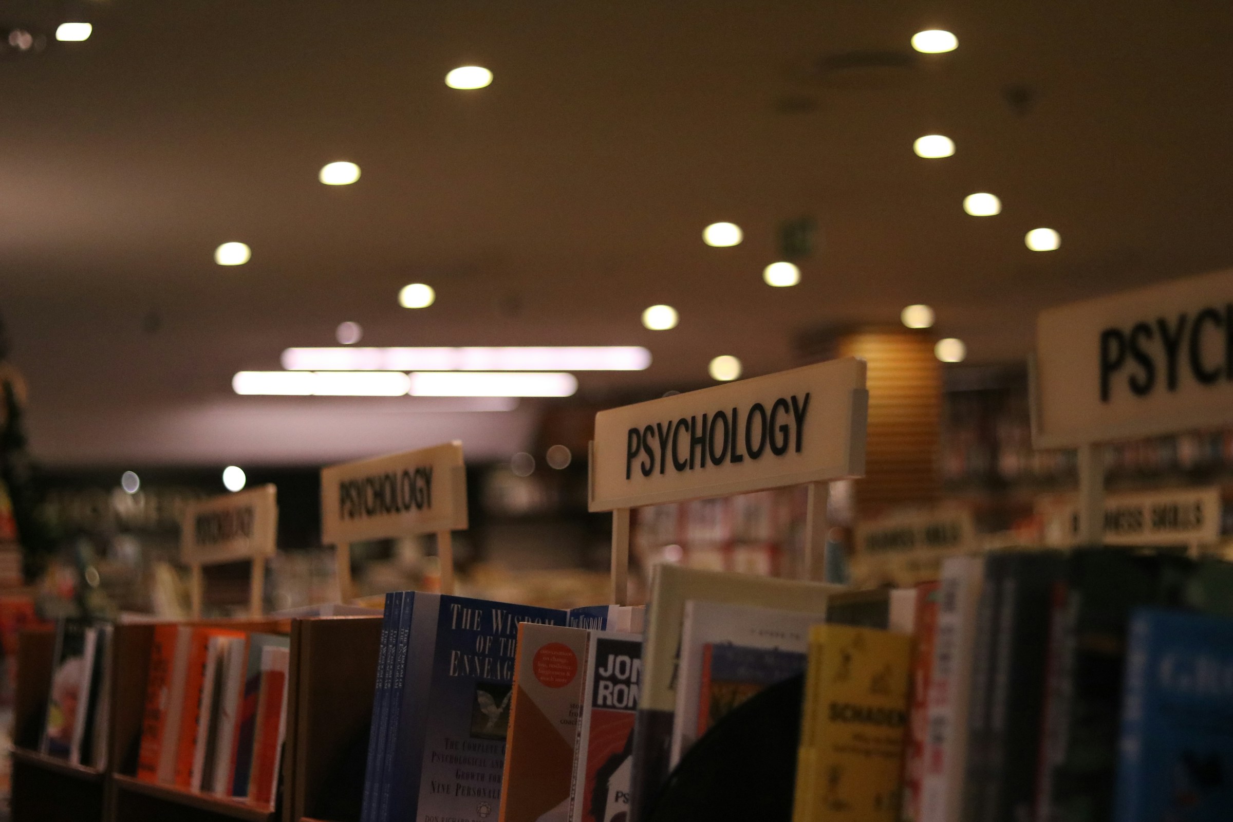 A row of psychology textbooks | Source: Unsplash