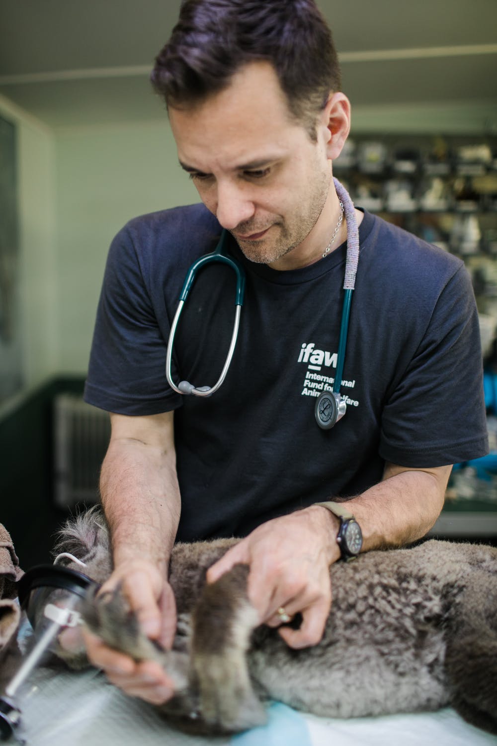 Edward est devenu infirmier vétérinaire | Source : Pexels