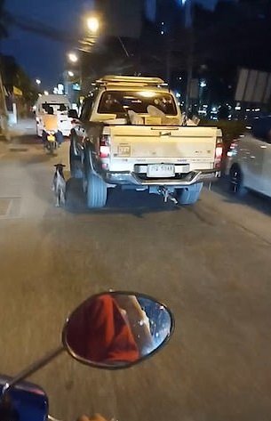 Perro junto a la camioneta de sus dueños.| Imagen tomada de: YouTube/Viral Press Perro junto a la camioneta de sus dueños.| Imagen tomada de: YouTube/Viral Press