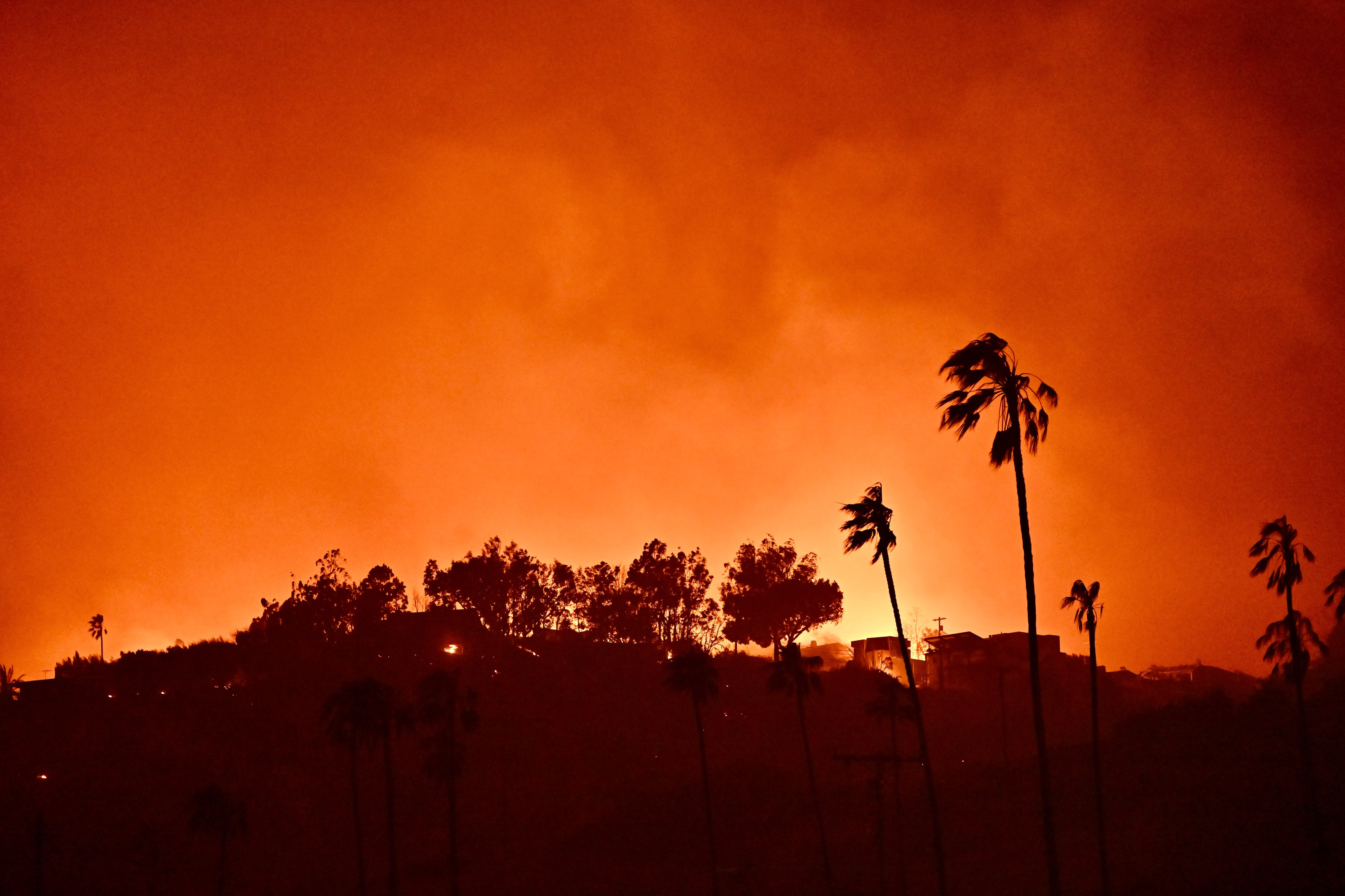 A view of the Los Angeles wildfires on January 8, 2025, in Pacific Palisades, California. | Source: Getty Images