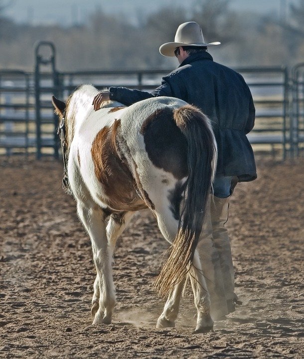 A photo of a cowboy with his horse. | Photo: Pixabay