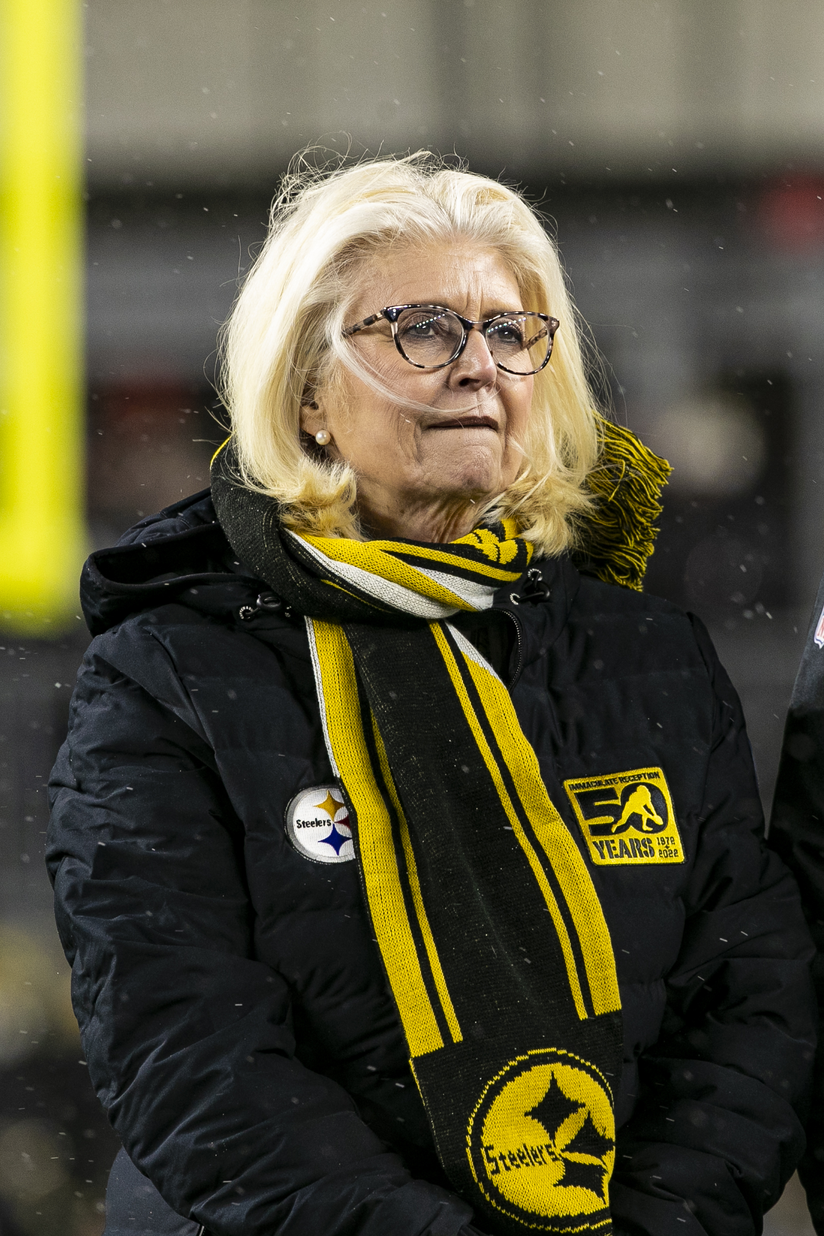 Dana Dokmanovich looks on during the National Football League game between the Las Vegas Raiders and the Pittsburgh Steelers on December 24, 2022, at Acrisure Stadium in Pittsburgh, Pennsylvania. | Source: Getty Images