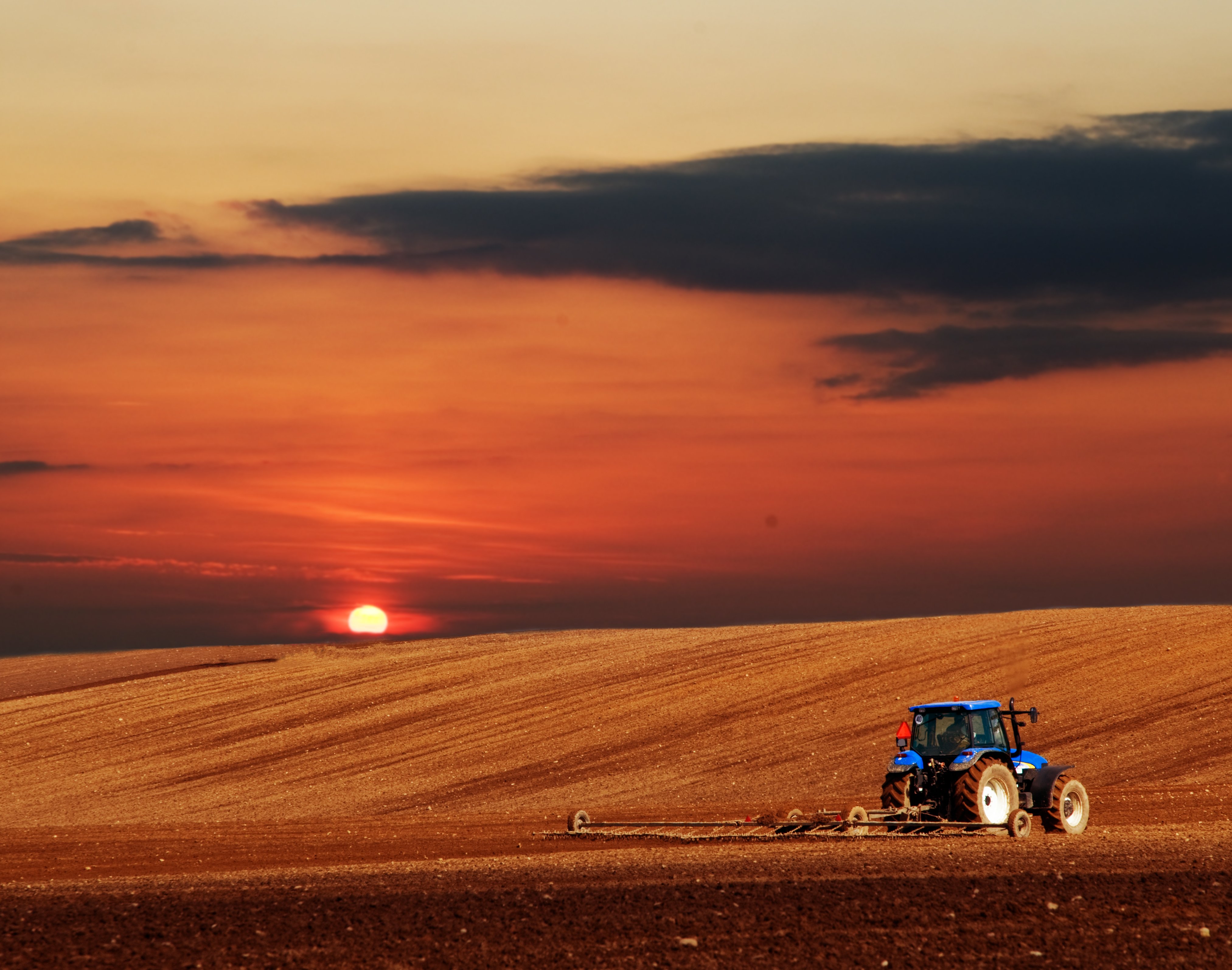 A tractor plowing | Photo: Bedneyimages - Freepik.com