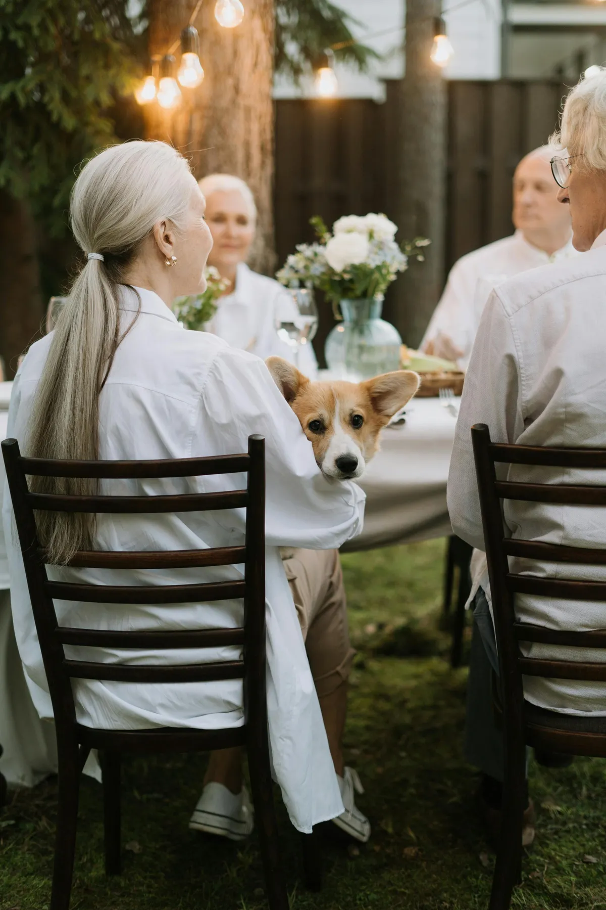Friends gathered at a dinner party | Source: Pexels