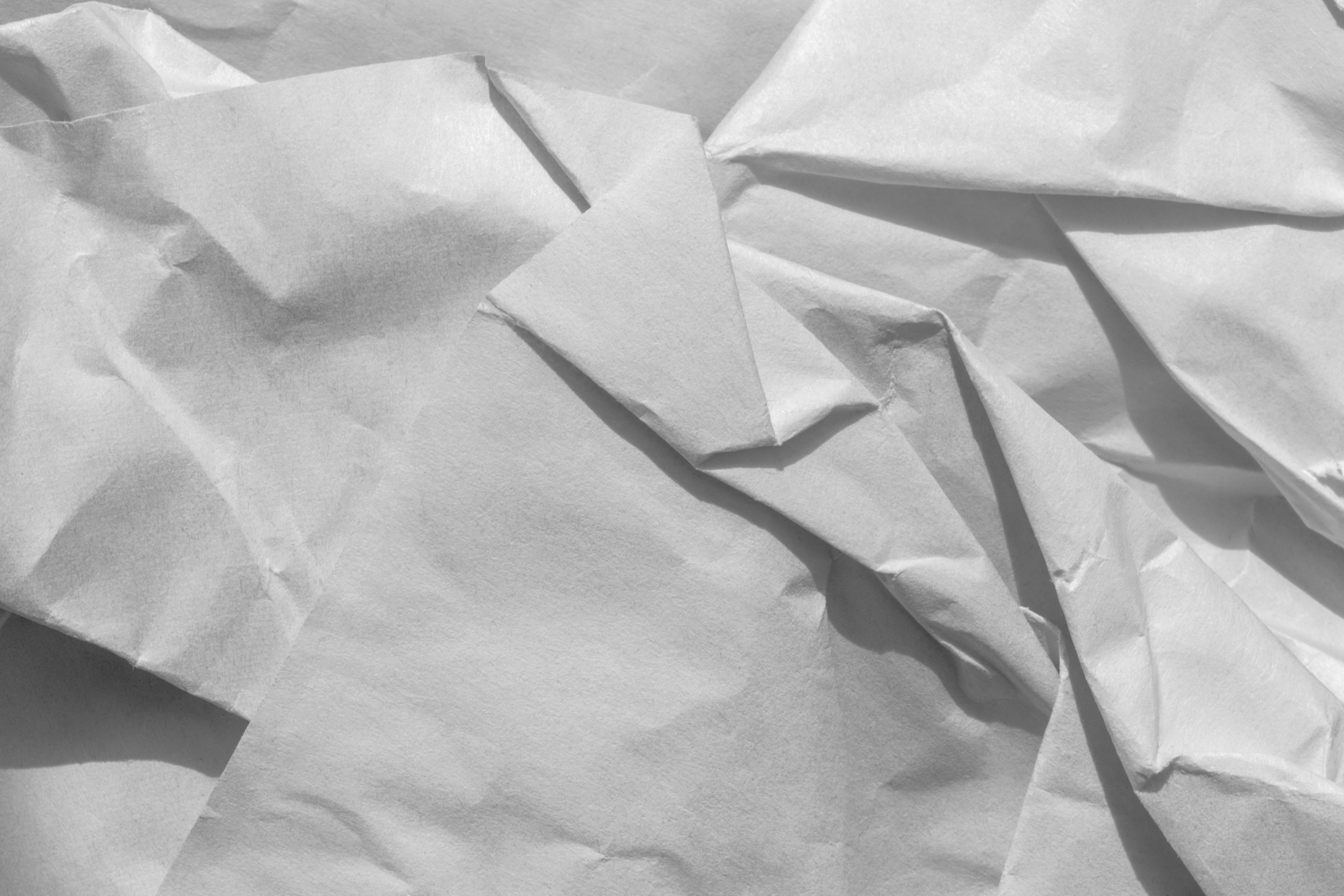 A crumbled piece of paper | Source: Unsplash
