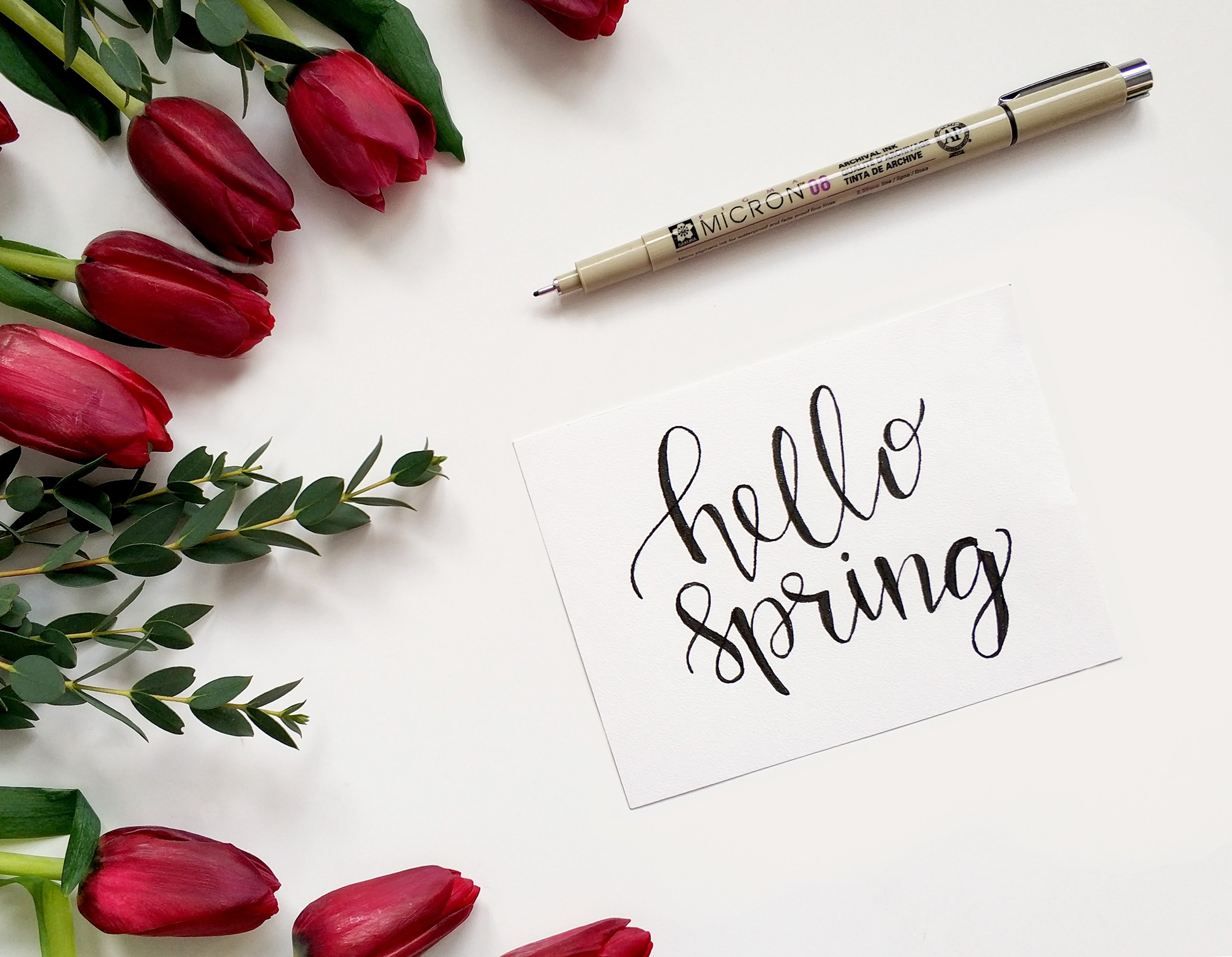 Welcome Spring. | Source: Pexels