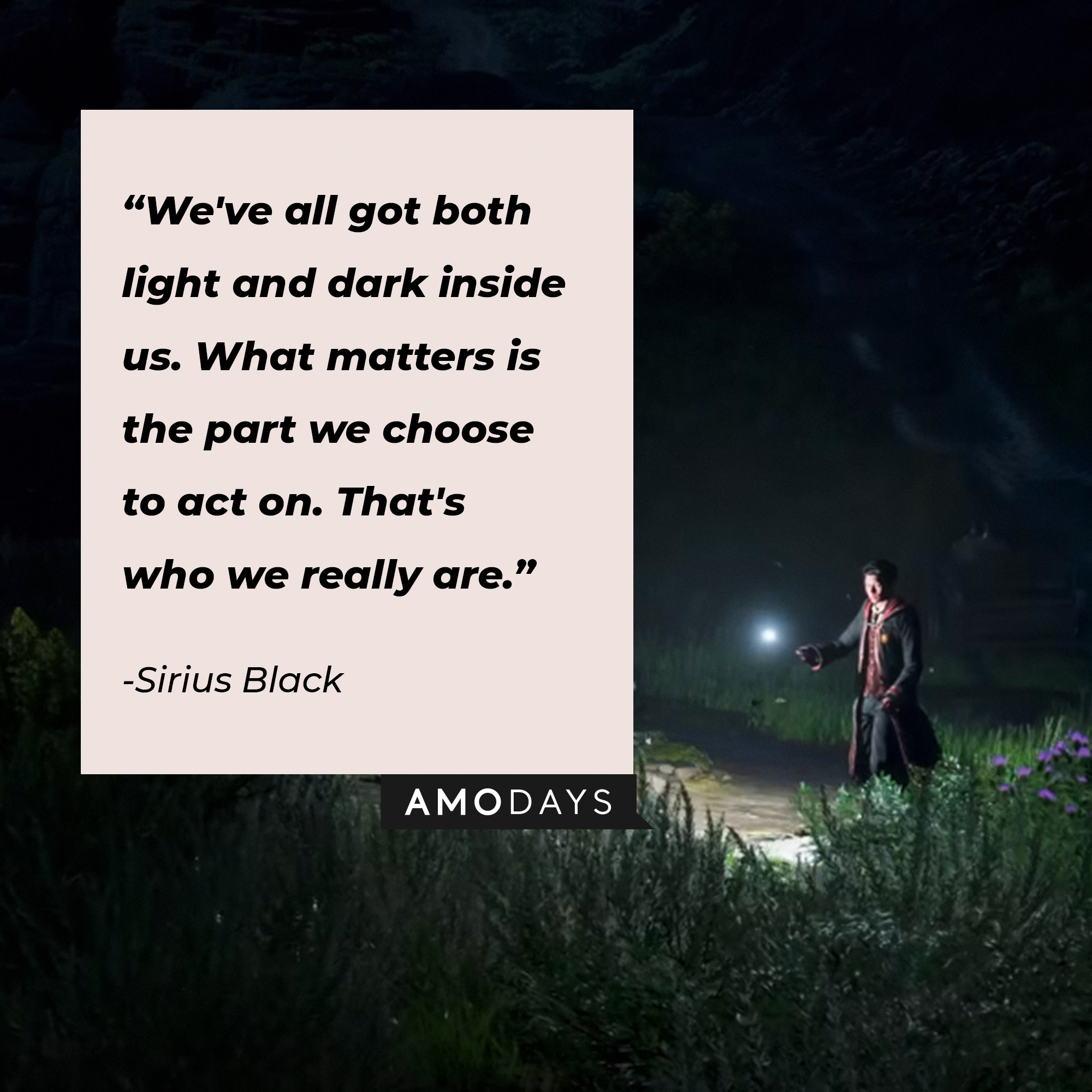 Sirius Black's quote: "We've all got both light and dark inside us. What matters is the part we choose to act on. That's who we really are." | Source: Youtube.com/HogwartsLegacy