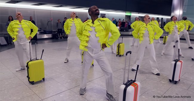 Airport crew commemorate Freddie Mercury with amazing dance routine