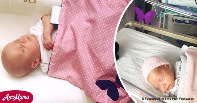 A purple butterfly on a baby's crib is not just for decoration. The real reason is heartbreaking
