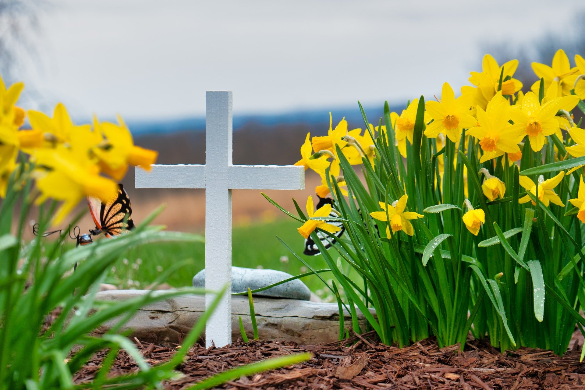 Photo of gravestone with beautiful flowers | Photo: Pexels