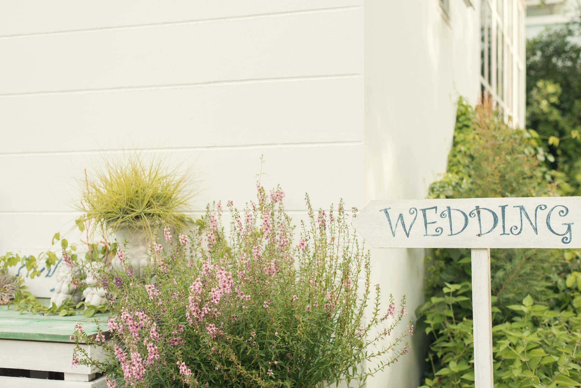 A wedding sign surrounded by plants | Source: Pexels