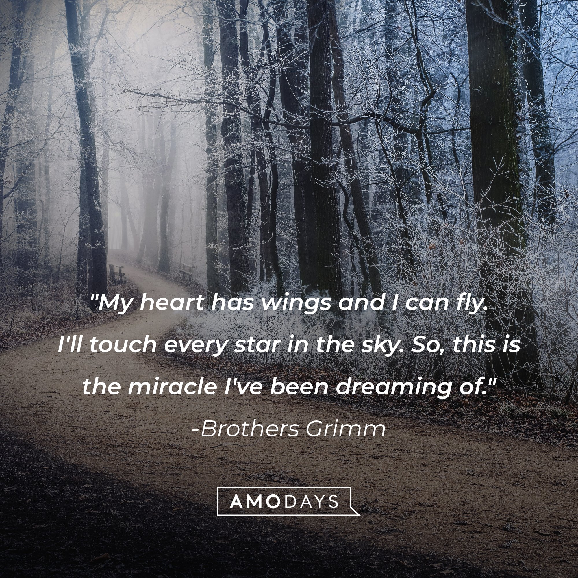 Brothers Grimm's quote: "My heart has wings and I can fly. I'll touch every star in the sky. So, this is the miracle I've been dreaming of." | Image: Amo Days