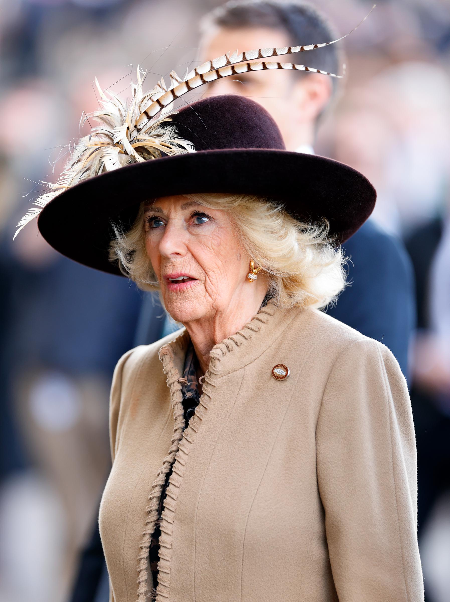 Queen Camilla on Day 2 of Ladies Day of the Cheltenham Festival on 11 March 2026 in Cheltenham, England. | Source: Getty Images