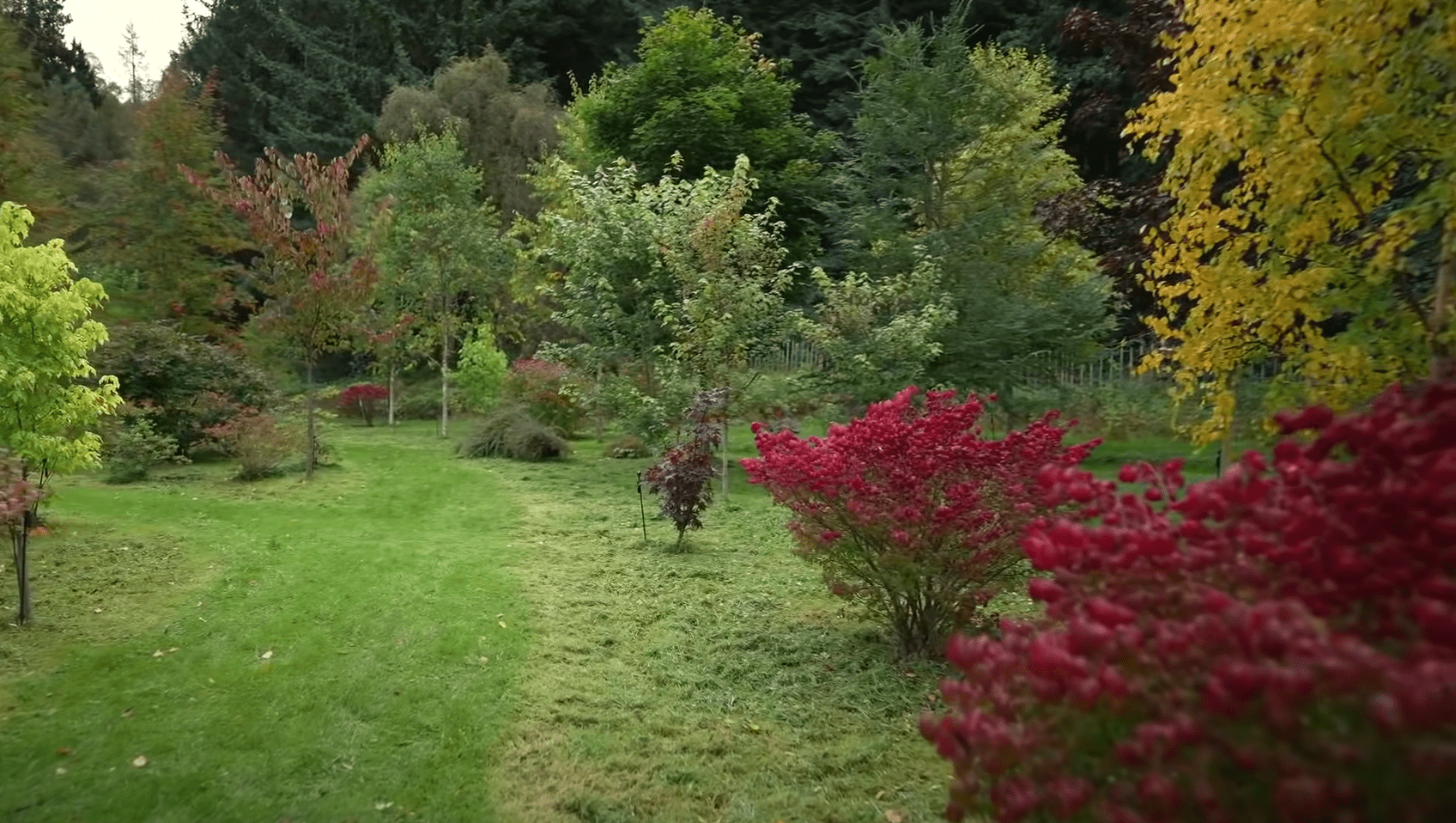 Una imagen que muestra la belleza del jardín del rey Charles | Foto: YouTube/BBC News