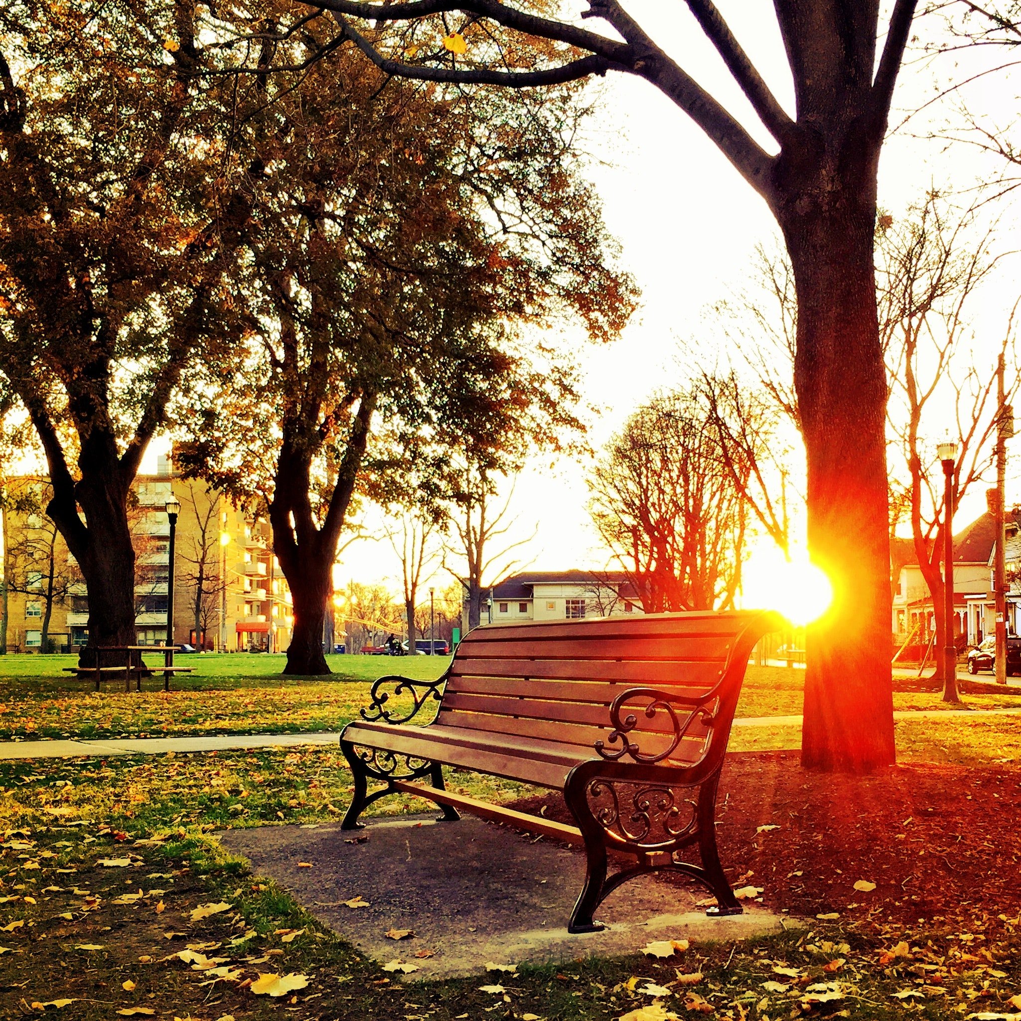 Mary found an envelope on her mother's favorite park bench. | Source: Pexels