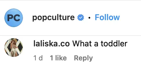 A fan's comment on Pop Culture's Instagram post on John Mellencamp's statement about his ex-girlfriend, Meg Ryan, on June 17, 2023 | Source: Instagram/popculture