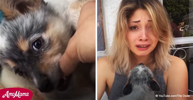 After her dog died, her boyfriend decided to give her a very special birthday present