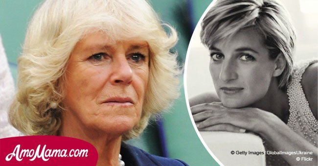 Camilla's references to Diana included 'a mouse' and 'mad cow', new book claims