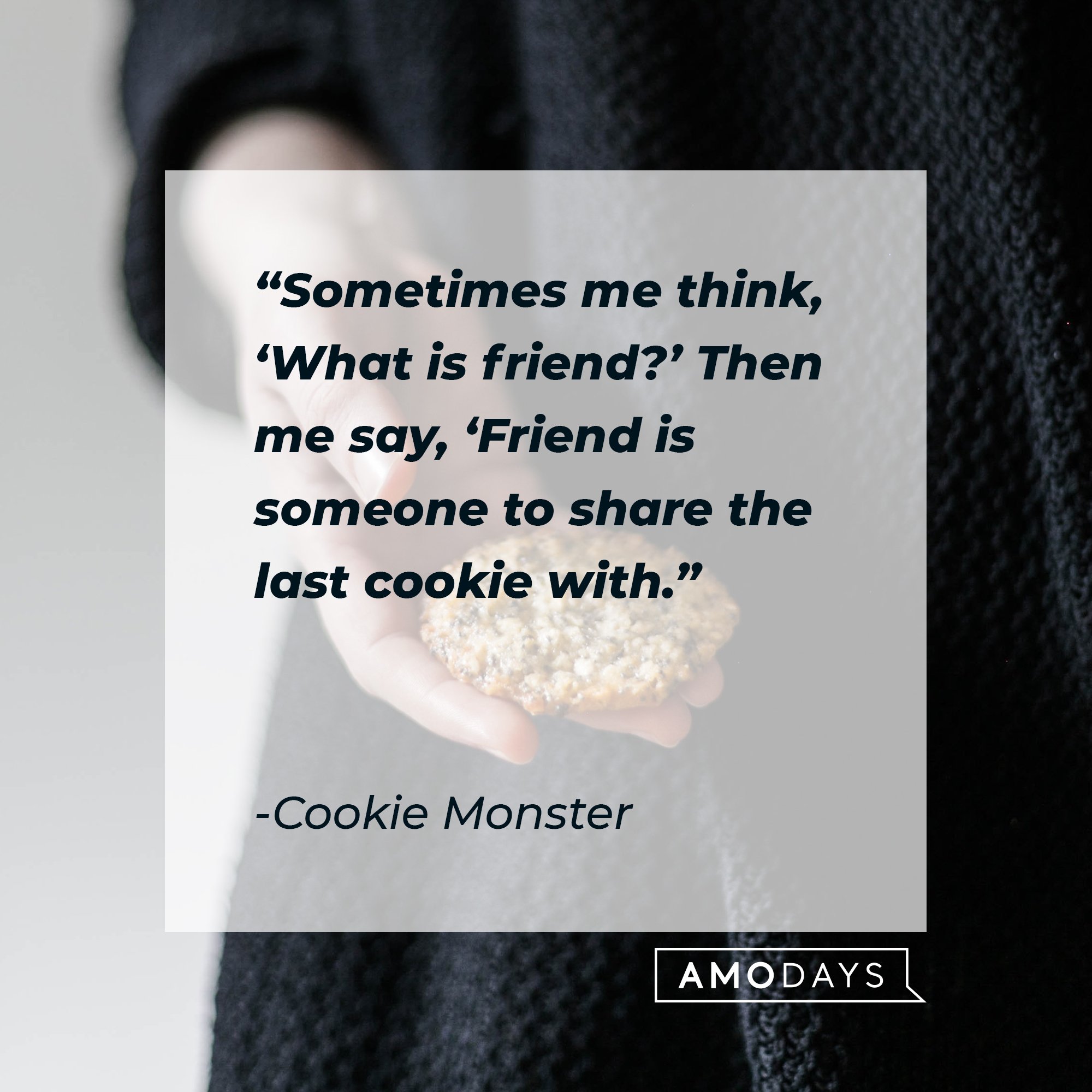 Cookie Monster’s quote: “Sometimes me think, ‘What is friend?’ Then me say, ‘Friend is someone to share the last cookie with.’” | Image: AmoDays
