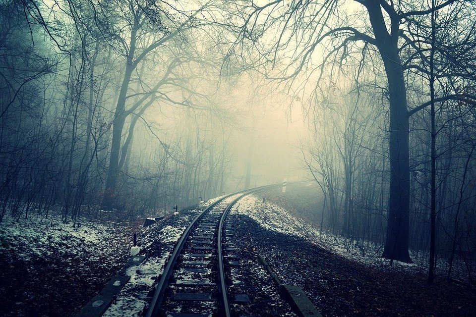 Source : Pixabay