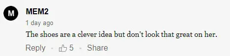 User comment, dated November 2023 | Source: PageSix