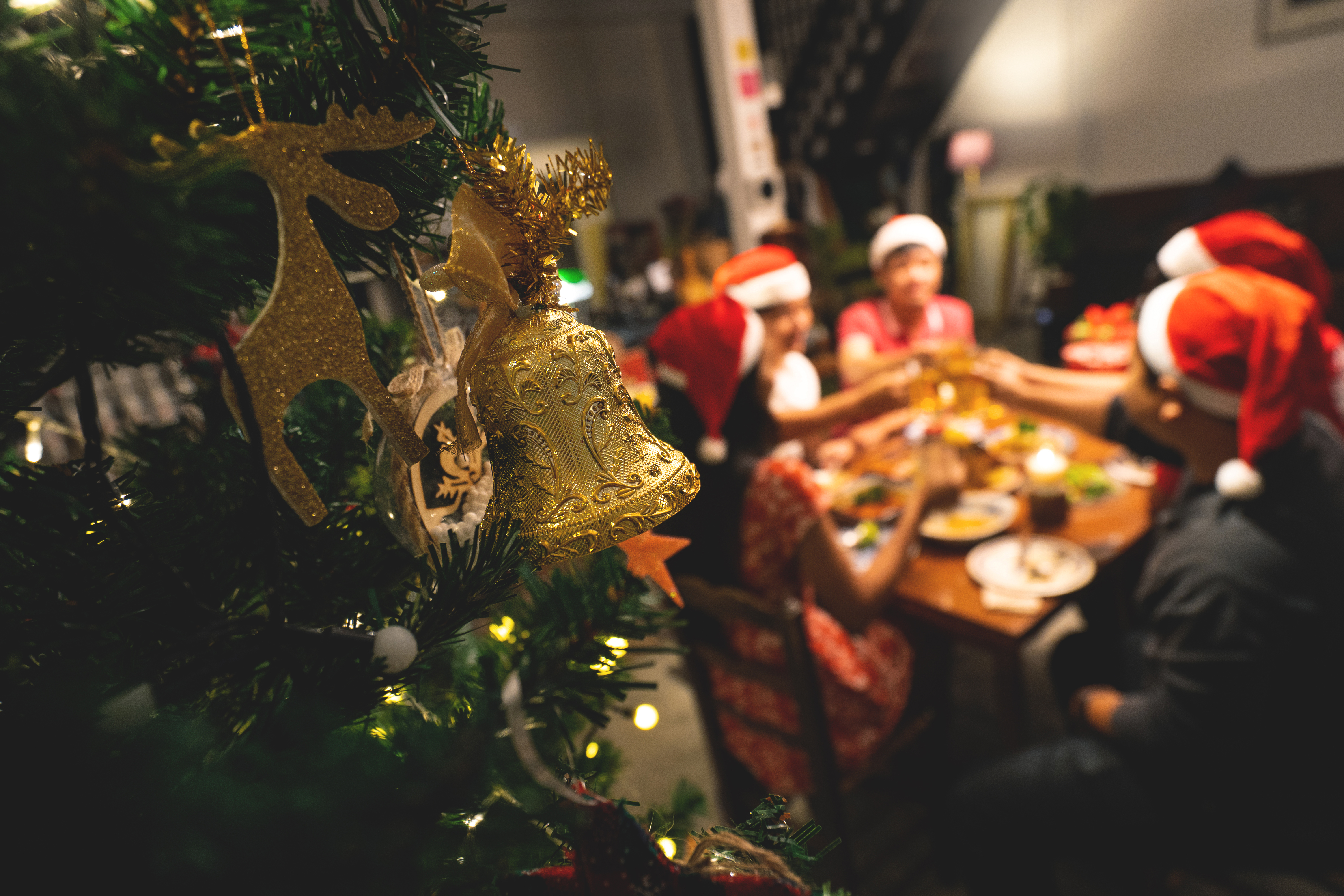 A Christmas dinner | Source: Shutterstock