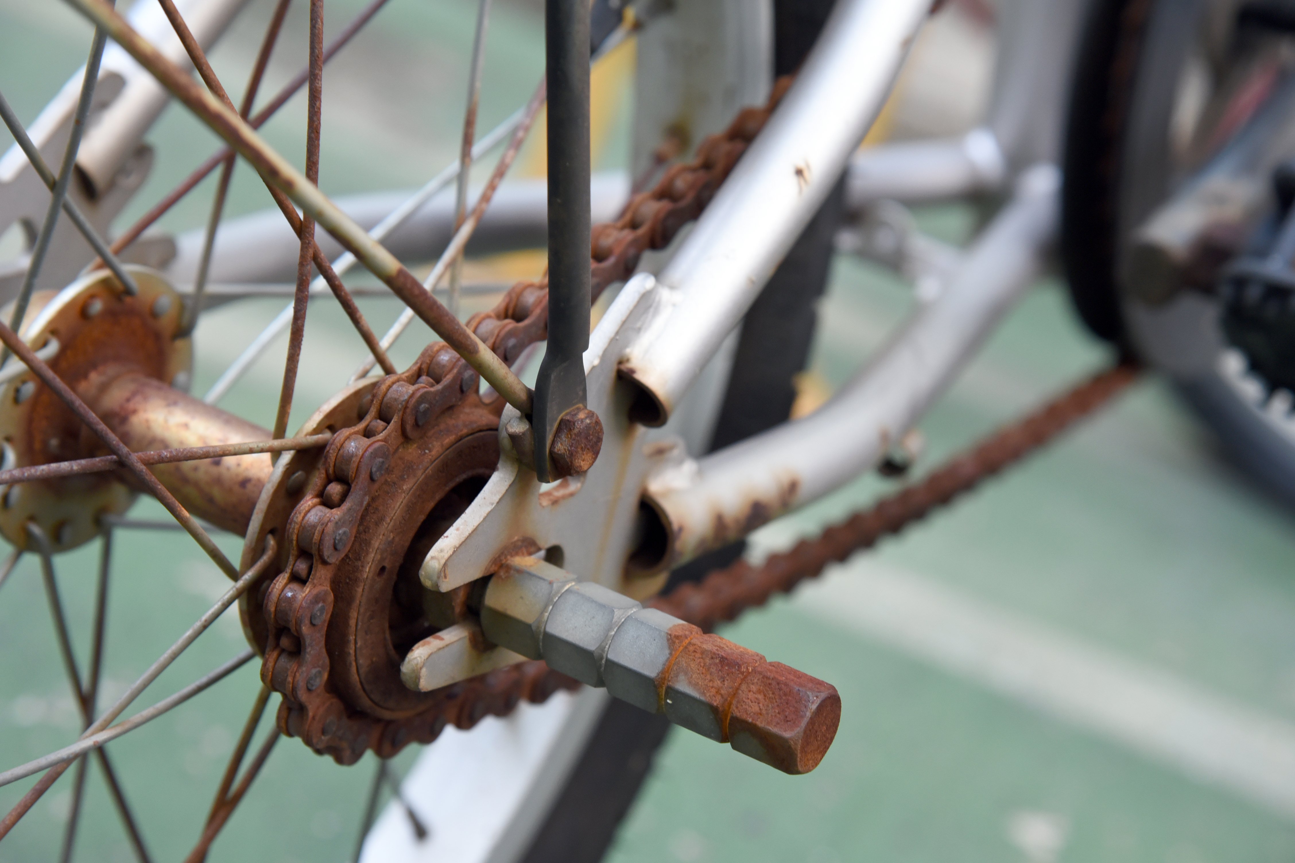 Bicicleta oxidada. |Foto: Shutterstock