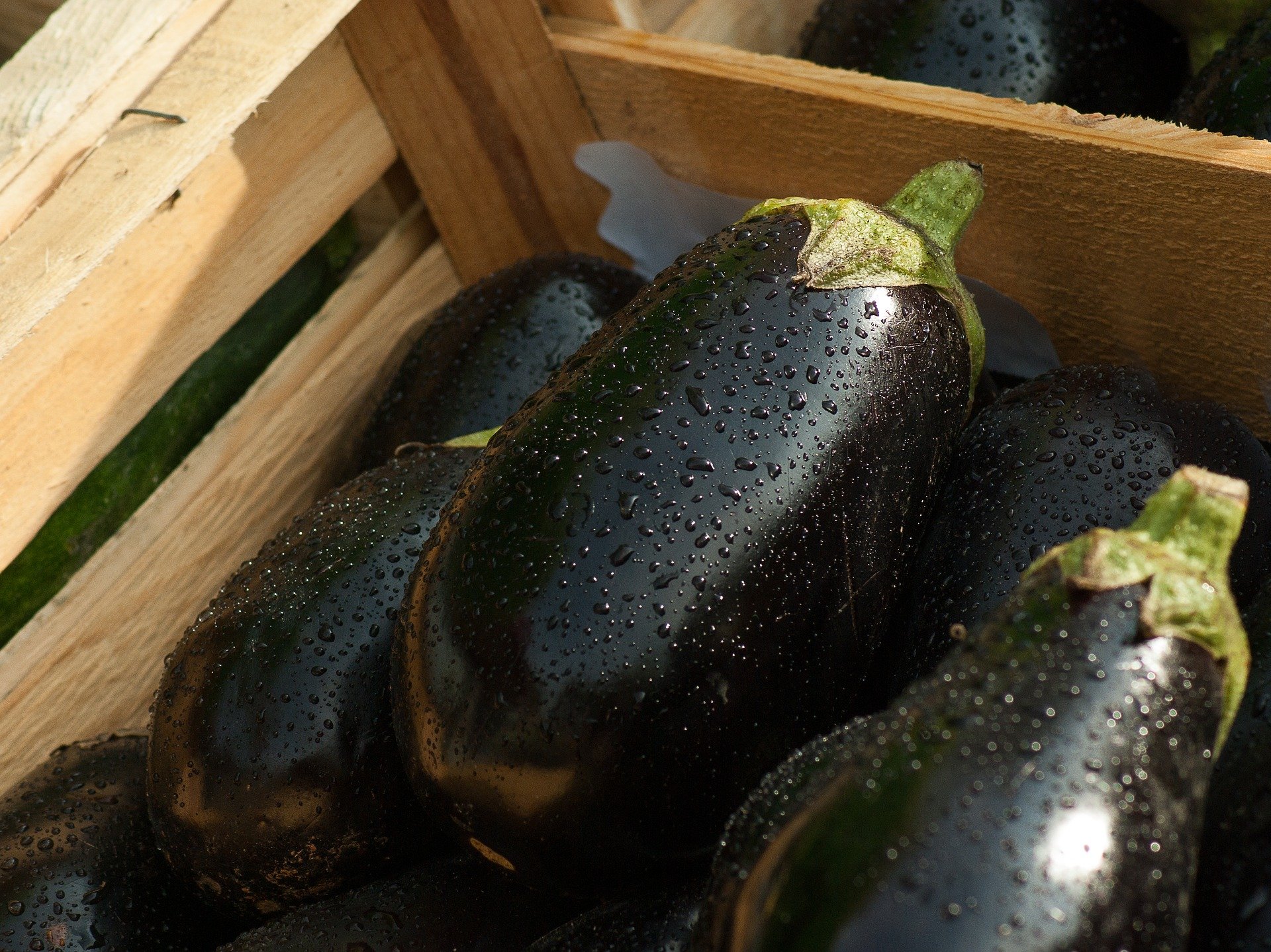 Eggplant for sale at a grocer. | Source: Pixabay.