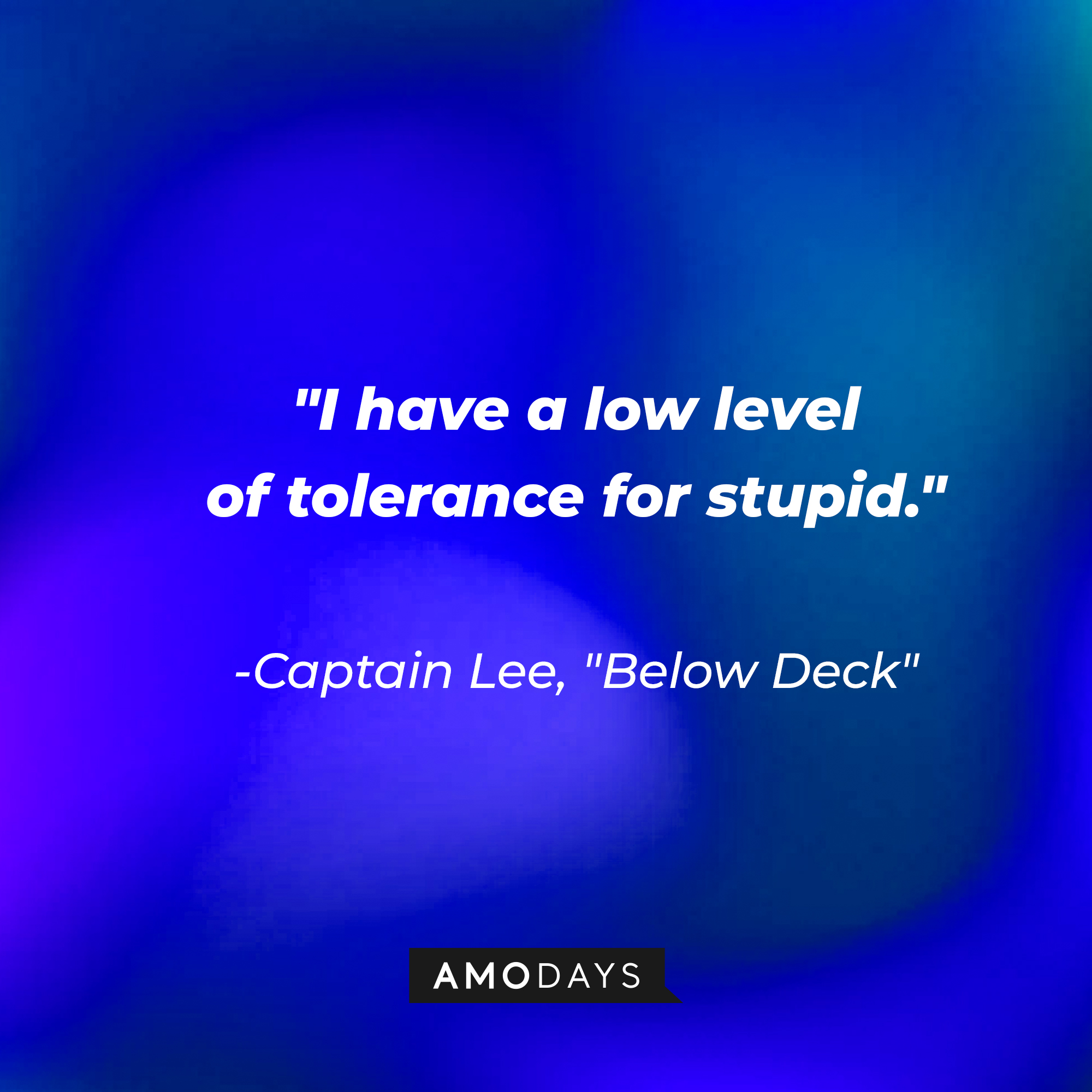 Captain Lee's quote from "Below Deck:" "I have a low level of tolerance for stupid." | Source: AmoDays