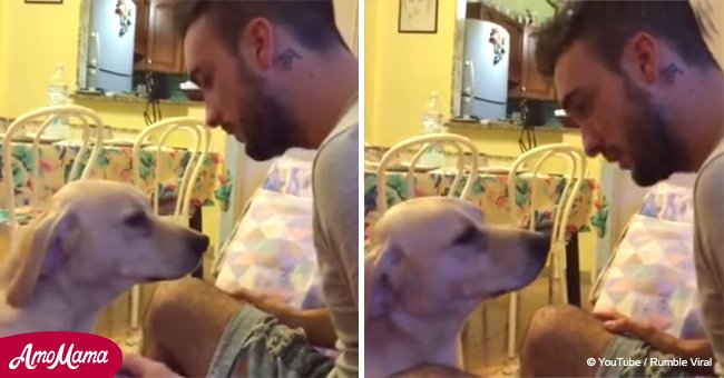 Man scolds naughty dog but she desperately asks for forgiveness (video)