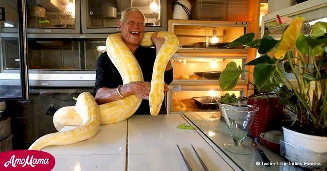 Man shows off his house with 400 reptile roommates and a big yellow python