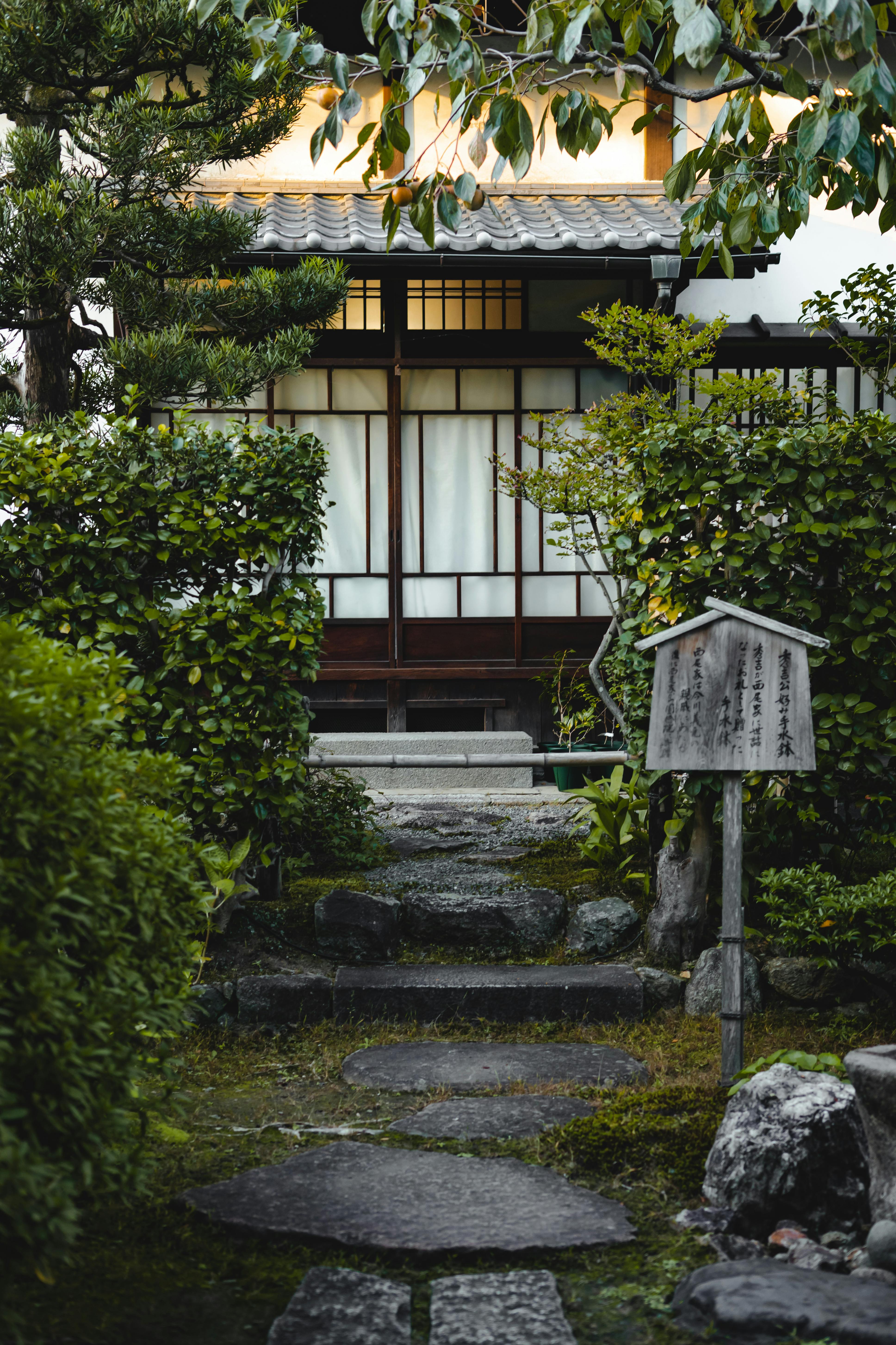 A Japanese garden | Source: Pexels