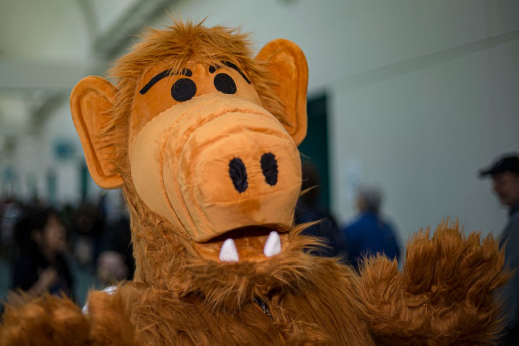 Cosplayer Christian Ruiz als Alf bei der Comic-Con International 2019 am 20. Juli 2019 in San Diego, Kalifornien | Quelle: Getty Images Cosplayer Christian Ruiz als Alf bei der Comic-Con International 2019 am 20. Juli 2019 in San Diego, Kalifornien | Quelle: Getty Images