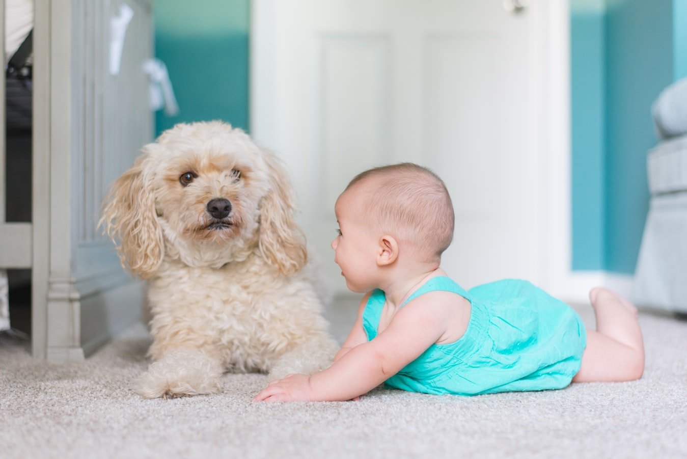 Un bébé avec un chien. l Source : Unsplash