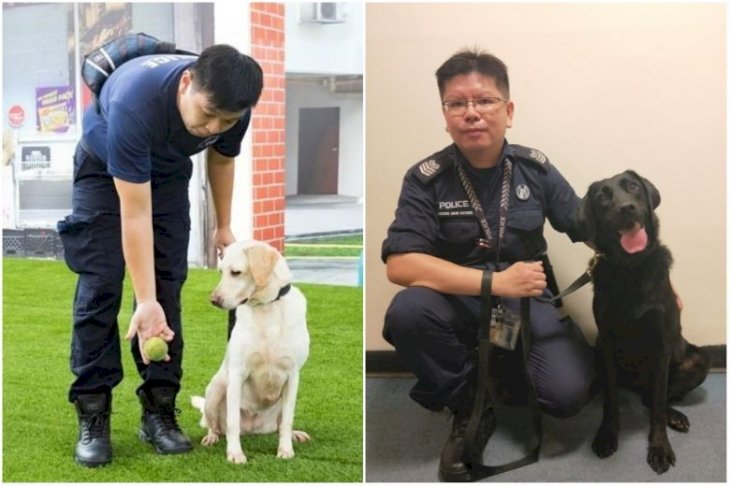 Source : Singapore Police Force