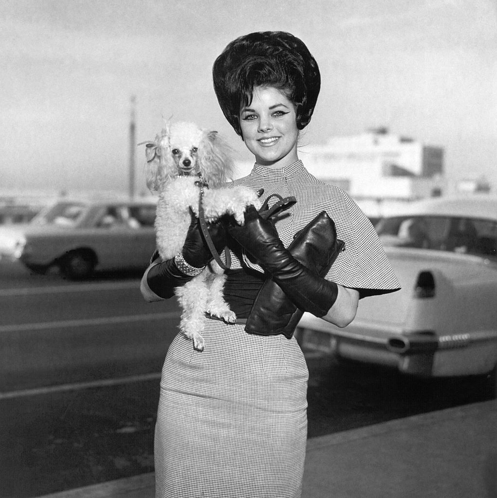 Priscilla Beaulieu Presley, with her dog, Honey, at Memphis International airport, Memphis, Tennessee, 11th January 1963. | Source: Getty Images